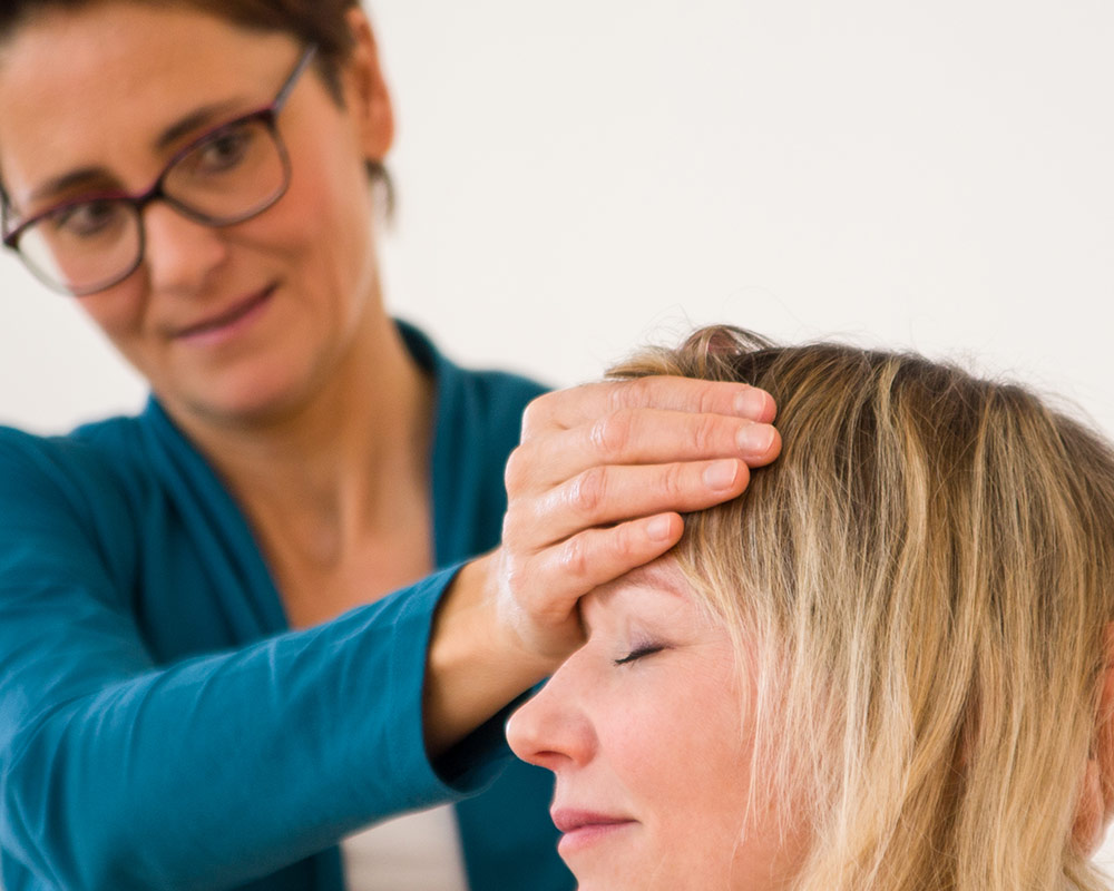 Vorträge Kinesiologie